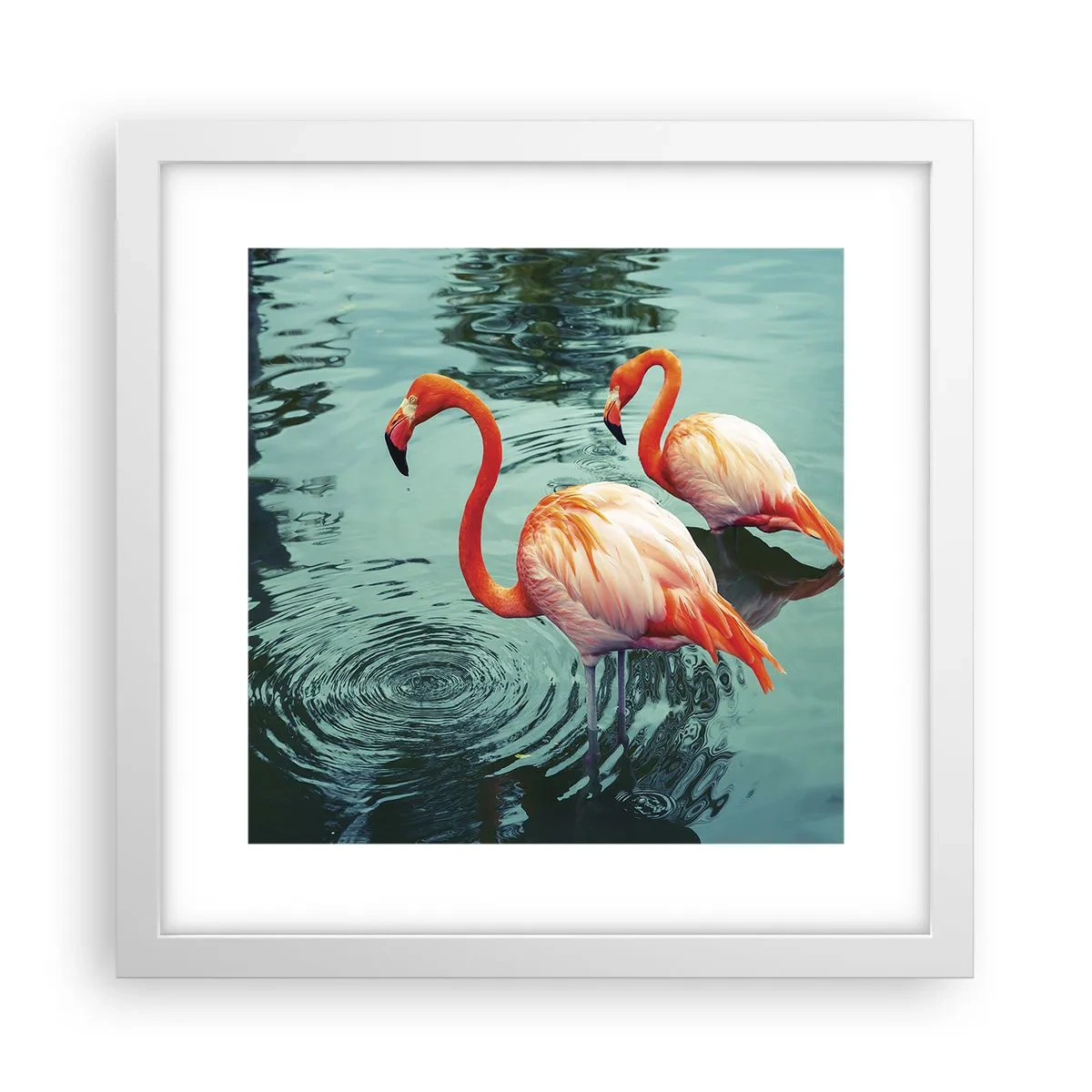 Póster en marco blanco - Estamos de moda - 30x30 cm