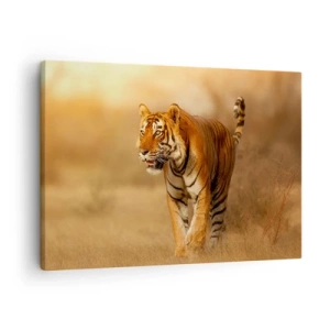 Cuadro sobre lienzo - Impresión de Imagen - Un tigre caminando por la sabana en colores cálidos. - 70x50cm - Antes del ataque - Decoración de pared moderna para salón y dormitorio ARTTOR