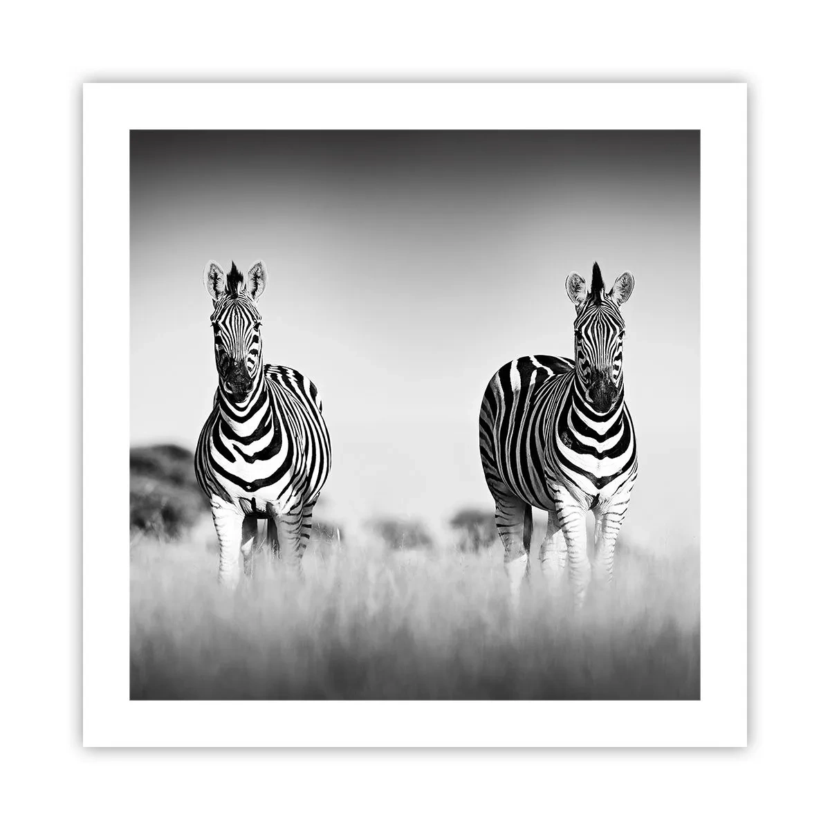 Póster - Resulta que el mundo es blanco y negro - 50x50 cm