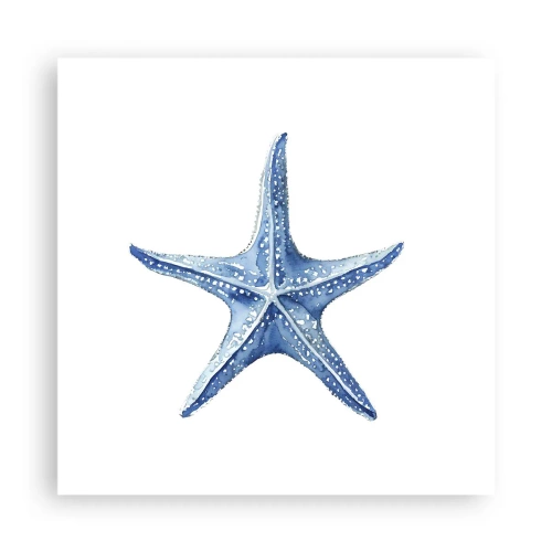 Póster - Estrella de mar - 40x40 cm