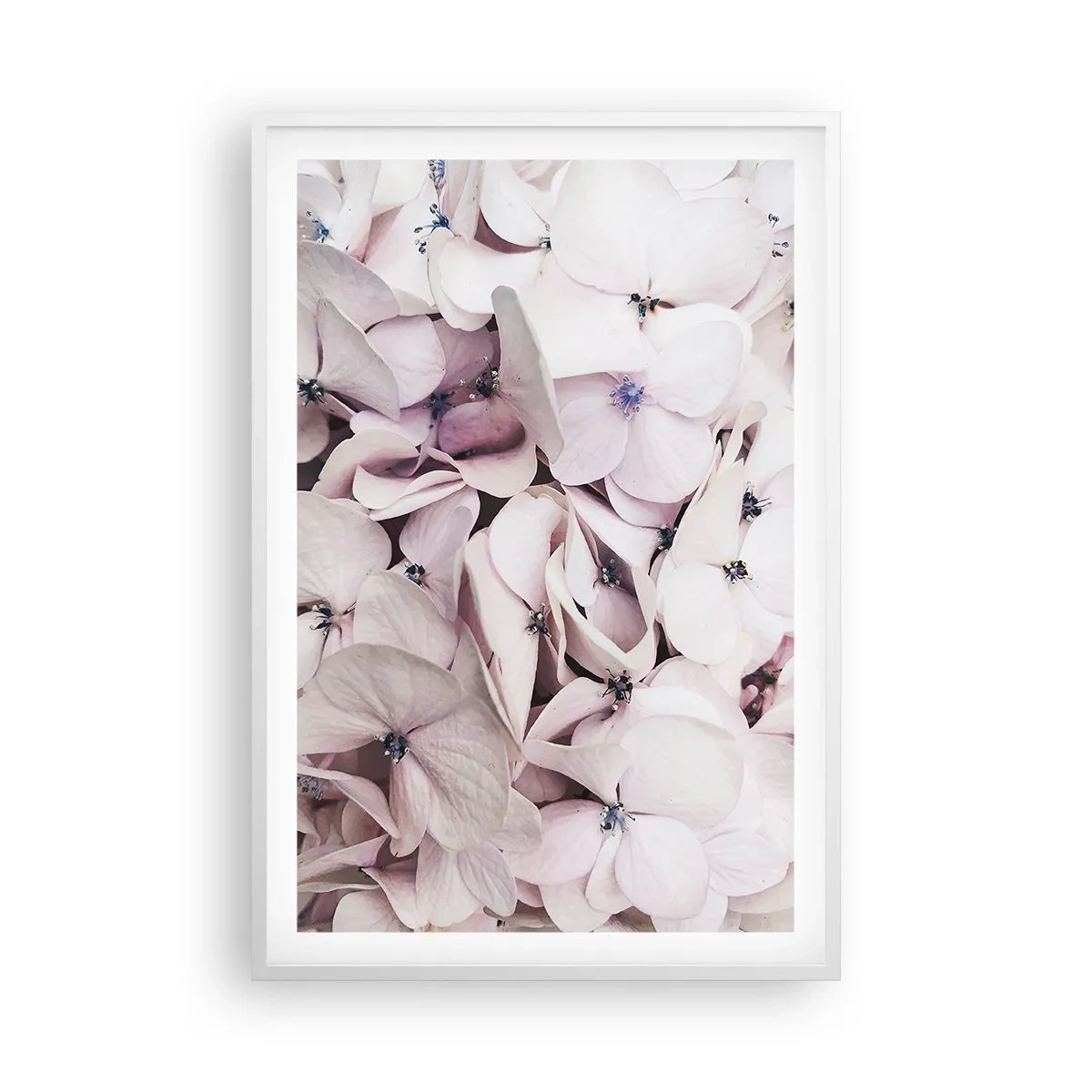 Póster en marco blanco - En un torrente de flores - 61x91 cm