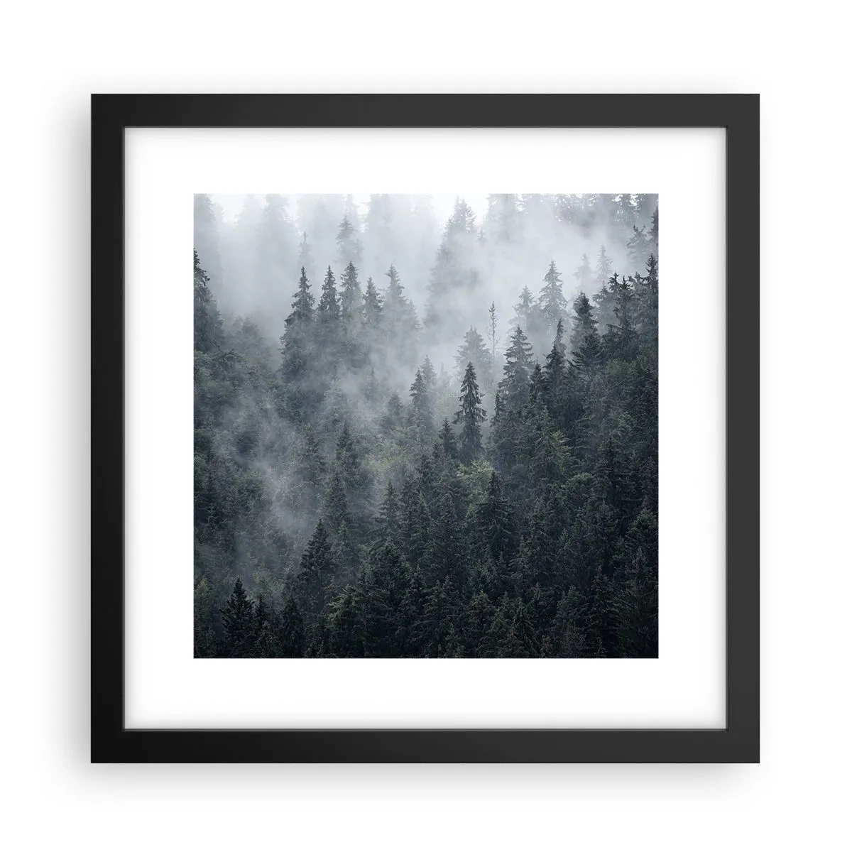 Póster en marco negro - Amanecer en el bosque - 30x30 cm