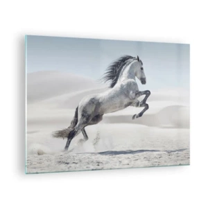 Cuadro sobre vidrio - Impresiones sobre Vidrio - Un caballo blanco saltando con el telón de fondo de las dunas del desierto. - 70x50cm - Un príncipe árabe - Decoración de pared moderna para salón y dormitorio ARTTOR
