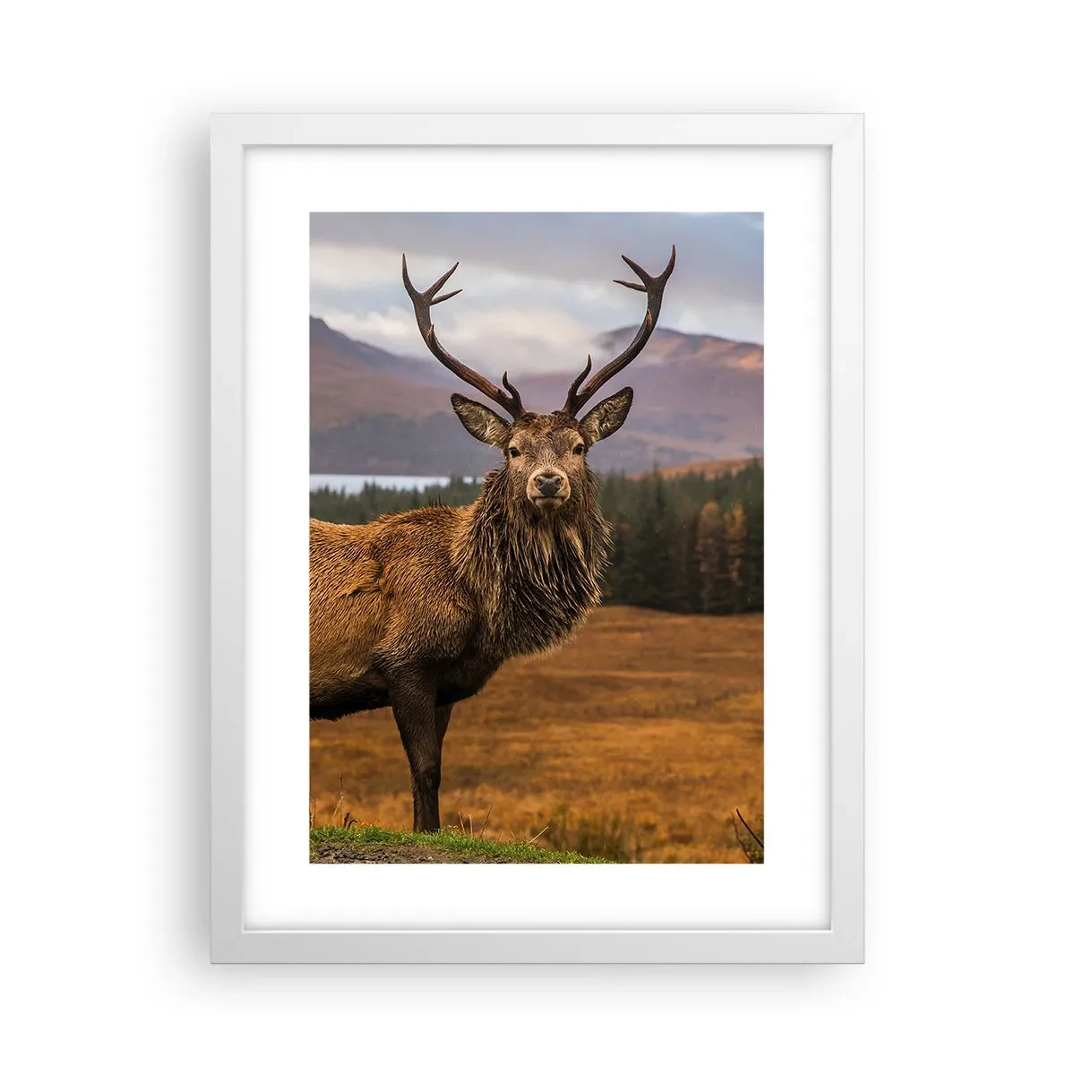 Póster en marco blanco - La majestuosidad de la naturaleza - 30x40 cm