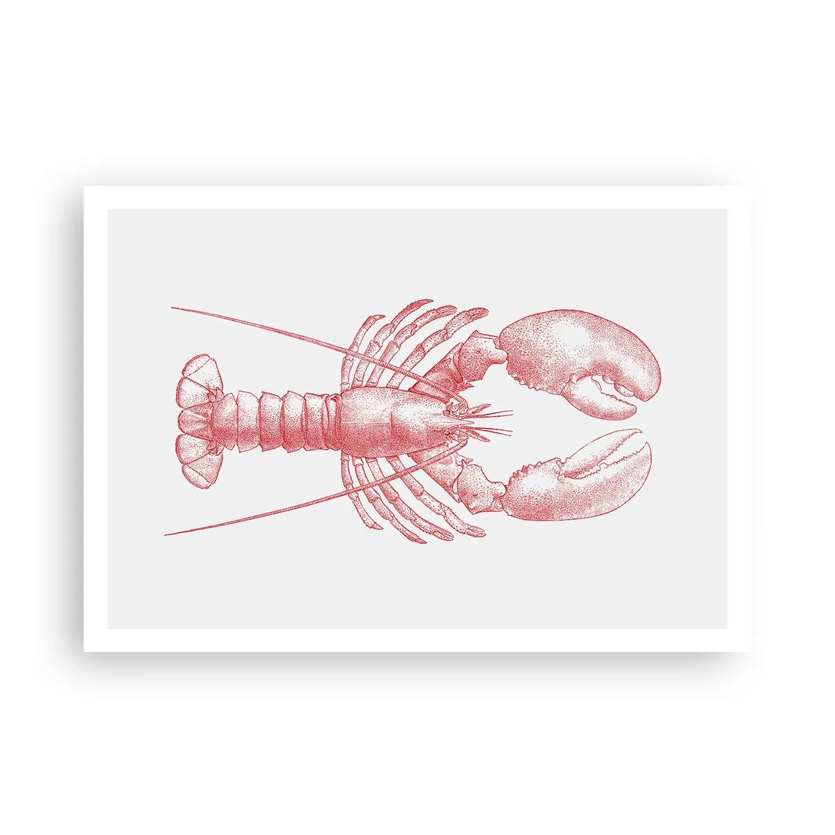 Póster - Dibujo de una langosta en tono rojo. - 100x70cm - La reina de los fondos rocosos - Decoración de pared moderna para salón y dormitorio ARTTOR