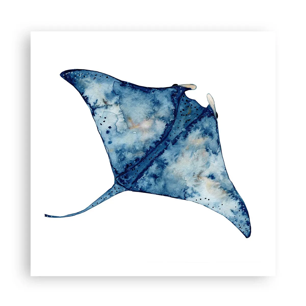 Póster - La vida en azul - 60x60 cm