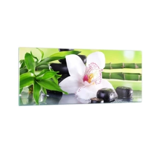 Cuadro sobre vidrio - Impresiones sobre Vidrio - Frescura - 100x40 cm