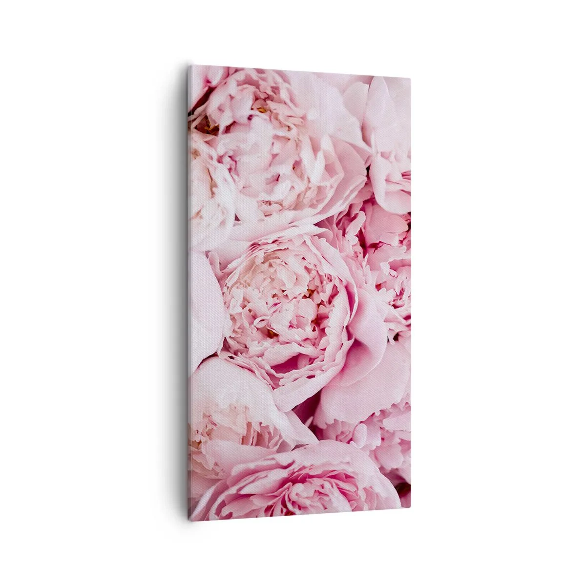 Cuadro sobre lienzo - Impresión de Imagen - Cálido y fragante - 55x100 cm