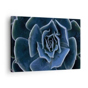 Cuadro sobre lienzo - Impresión de Imagen - Primer plano de una roseta suculenta verde - 70x50cm - Flor del desierto - Decoración de pared moderna para salón y dormitorio ARTTOR