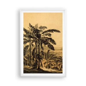 Póster en marco blanco - En un ambiente colonial - 61x91 cm