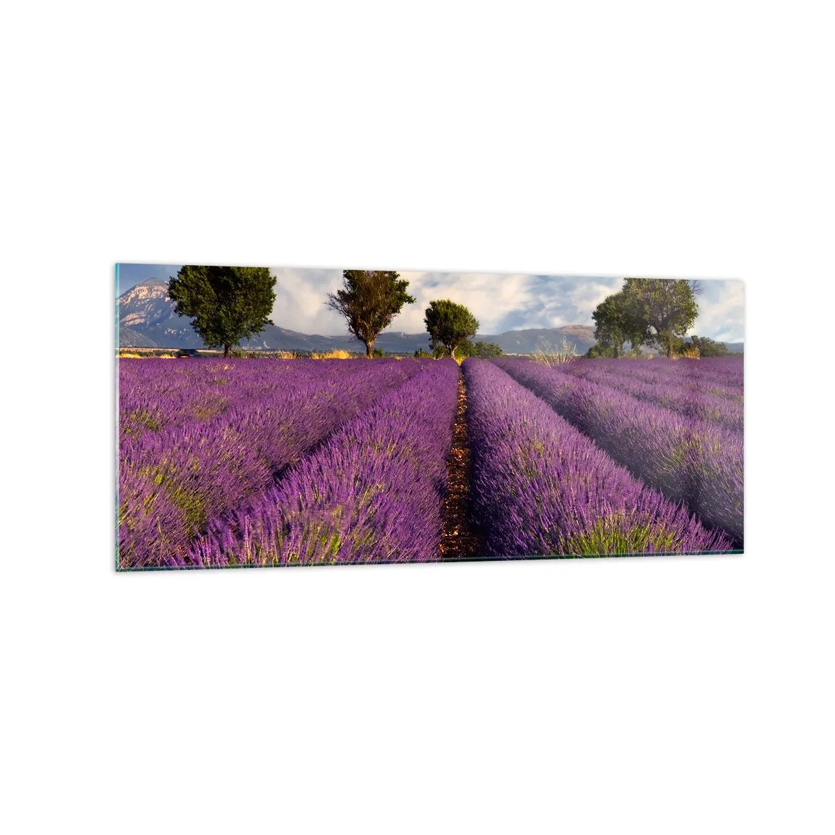 Cuadro sobre vidrio - Impresiones sobre Vidrio - Un campo de lavanda con árboles con el telón de fondo de montañas y cielo. - 120x50cm - Campos de lavanda - Decoración de pared moderna para salón y dormitorio ARTTOR