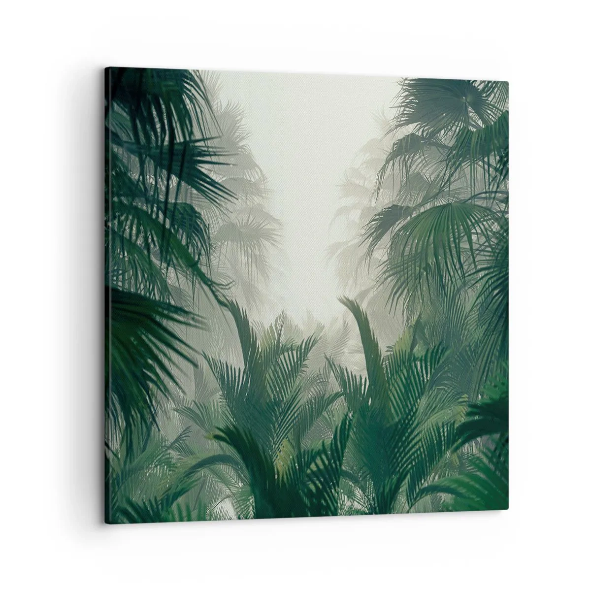 Cuadro sobre lienzo - Impresión de Imagen - Misterio tropical - 50x50 cm