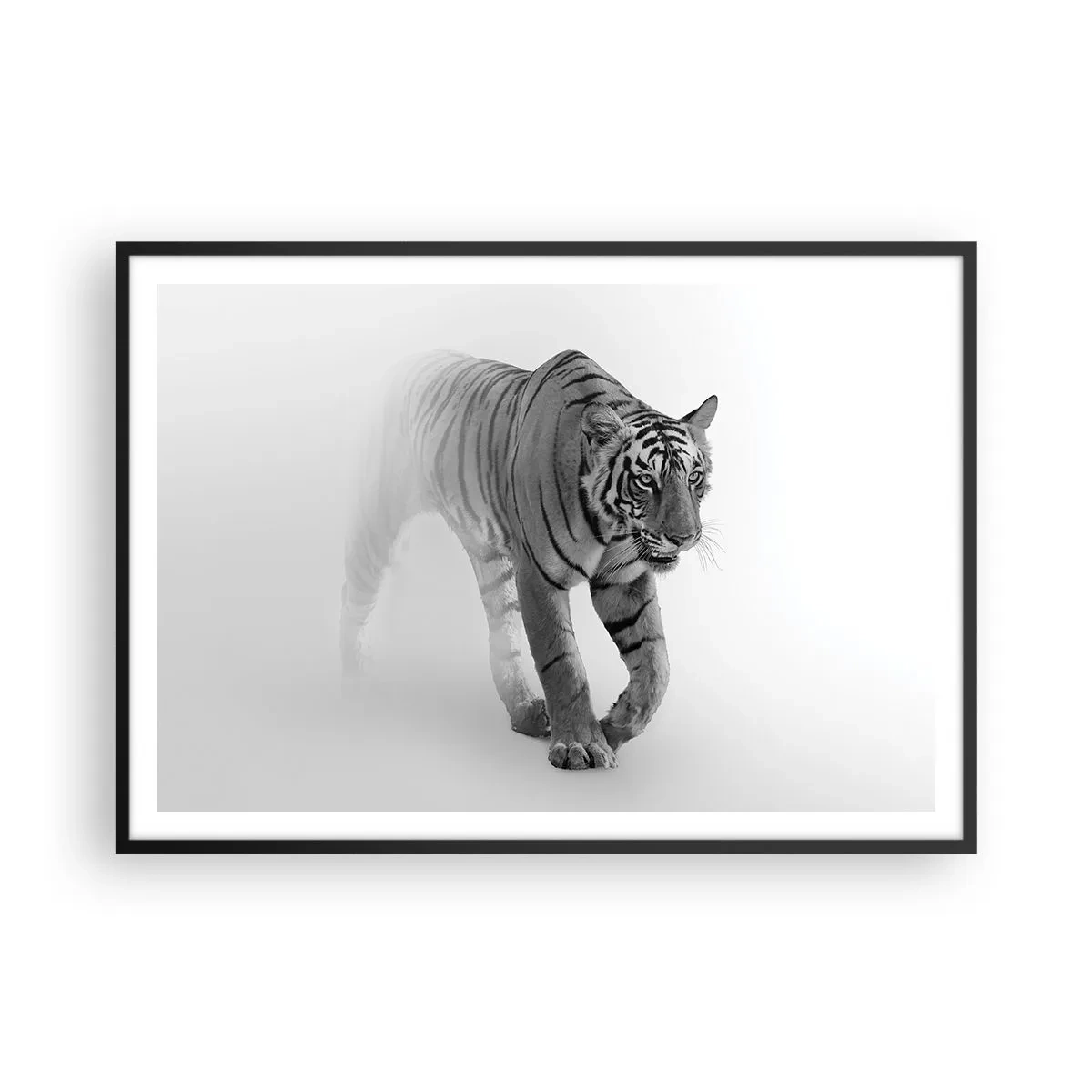 Póster en marco negro - Un tigre emergiendo de la niebla. - 100x70cm - Siempre alerta entre la niebla - Decoración de pared moderna para salón y dormitorio ARTTOR