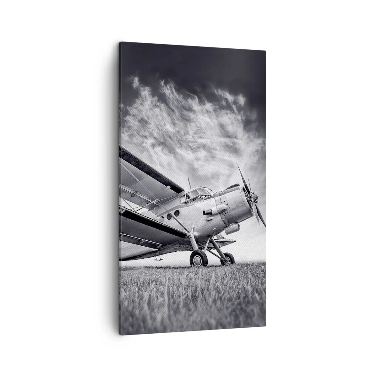 Cuadro sobre lienzo - Impresión de Imagen - El vagamundo alado - 45x80 cm