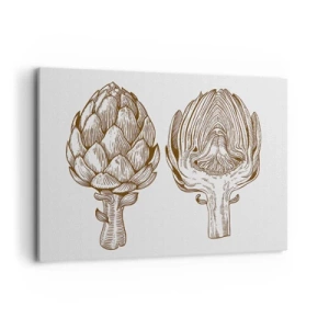 Cuadro sobre lienzo - Impresión de Imagen - Dibujo artístico vintage de una alcachofa - 100x70cm - Lección de anatomía - Decoración de pared moderna para salón y dormitorio ARTTOR