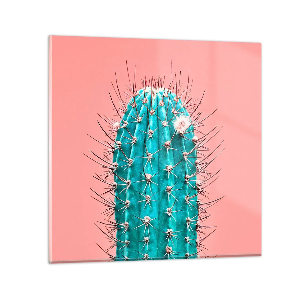 Cuadro sobre vidrio - Impresiones sobre Vidrio - Se mira, pero no se toca - 40x40 cm