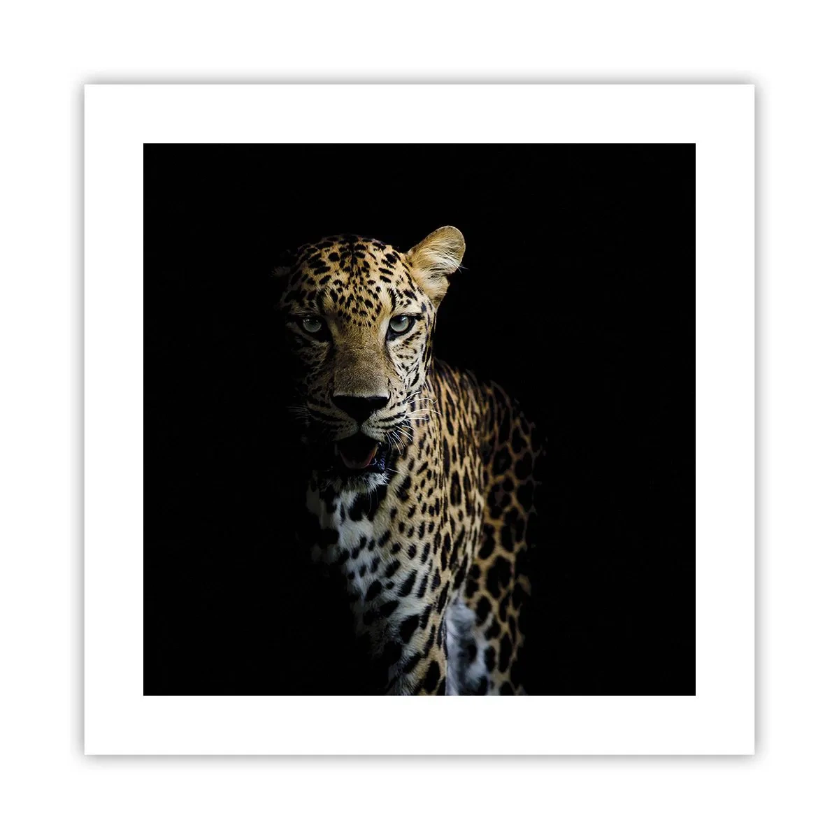 Póster - Belleza oscura - 40x40 cm