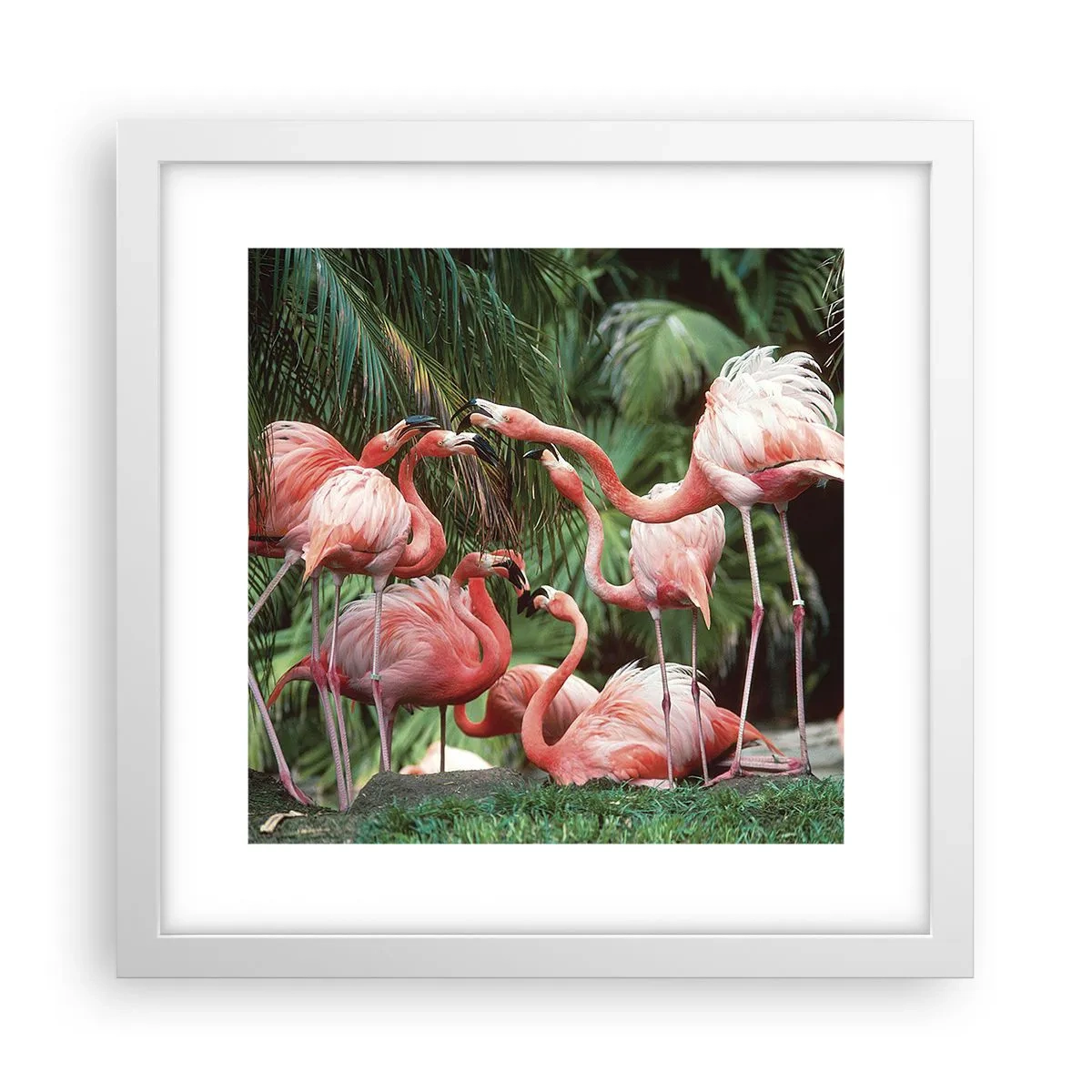 Póster en marco blanco - Cotilleos de la tarde - 30x30 cm