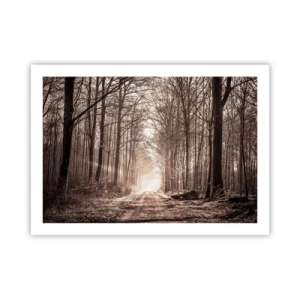 Póster - La catedral del bosque - 70x50 cm