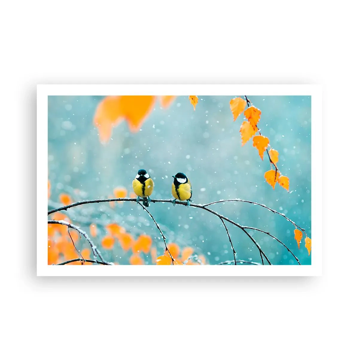 Póster - Cotilleo de pájaros - 91x61 cm