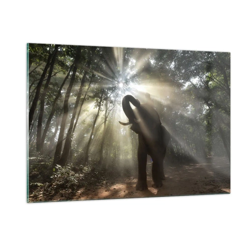Cuadro sobre vidrio - Impresiones sobre Vidrio - Un elefante en un bosque iluminado por la luz del sol. - 120x80cm - Bajo una estrella de la suerte - Decoración de pared moderna para salón y dormitorio ARTTOR