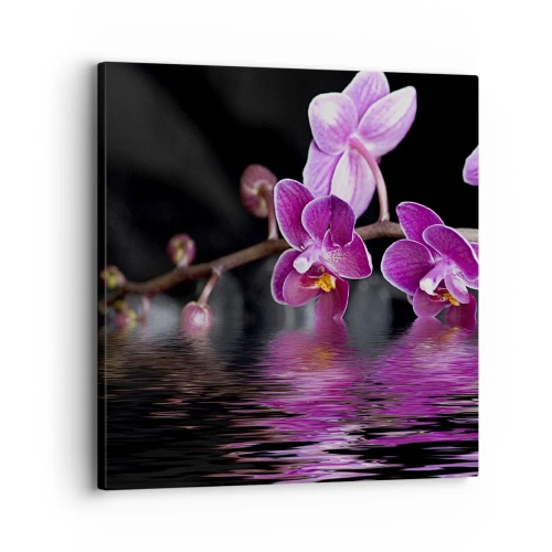 Cuadro sobre lienzo - Impresión de Imagen - Un reflejo lila de la belleza - 30x30 cm