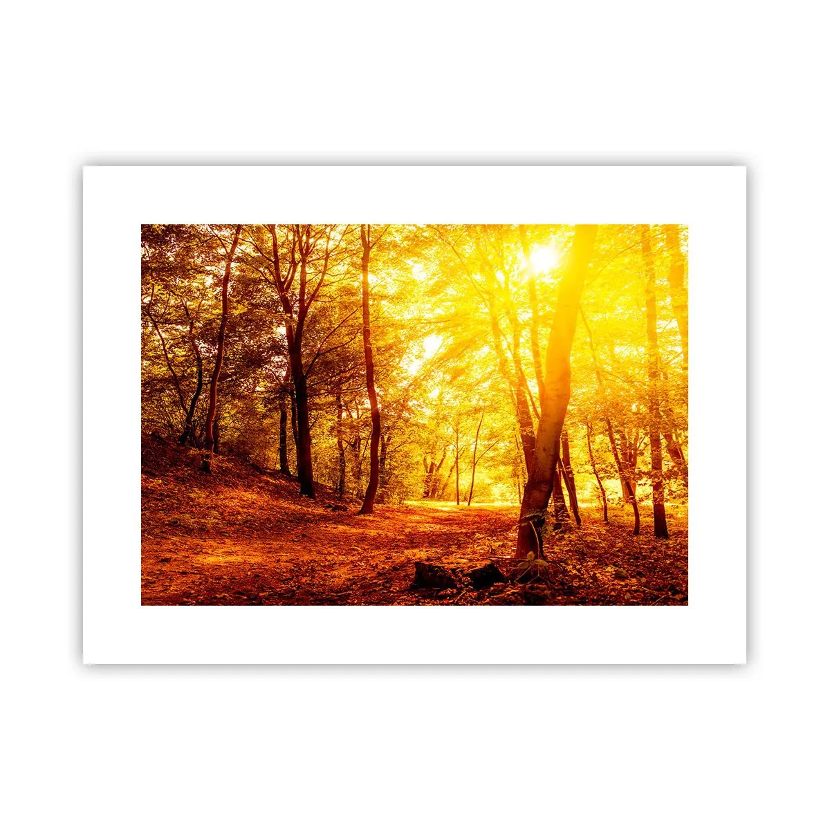 Póster - Hacia un claro de oro - 40x30 cm