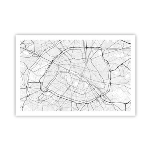 Póster - Flor de París - 91x61 cm