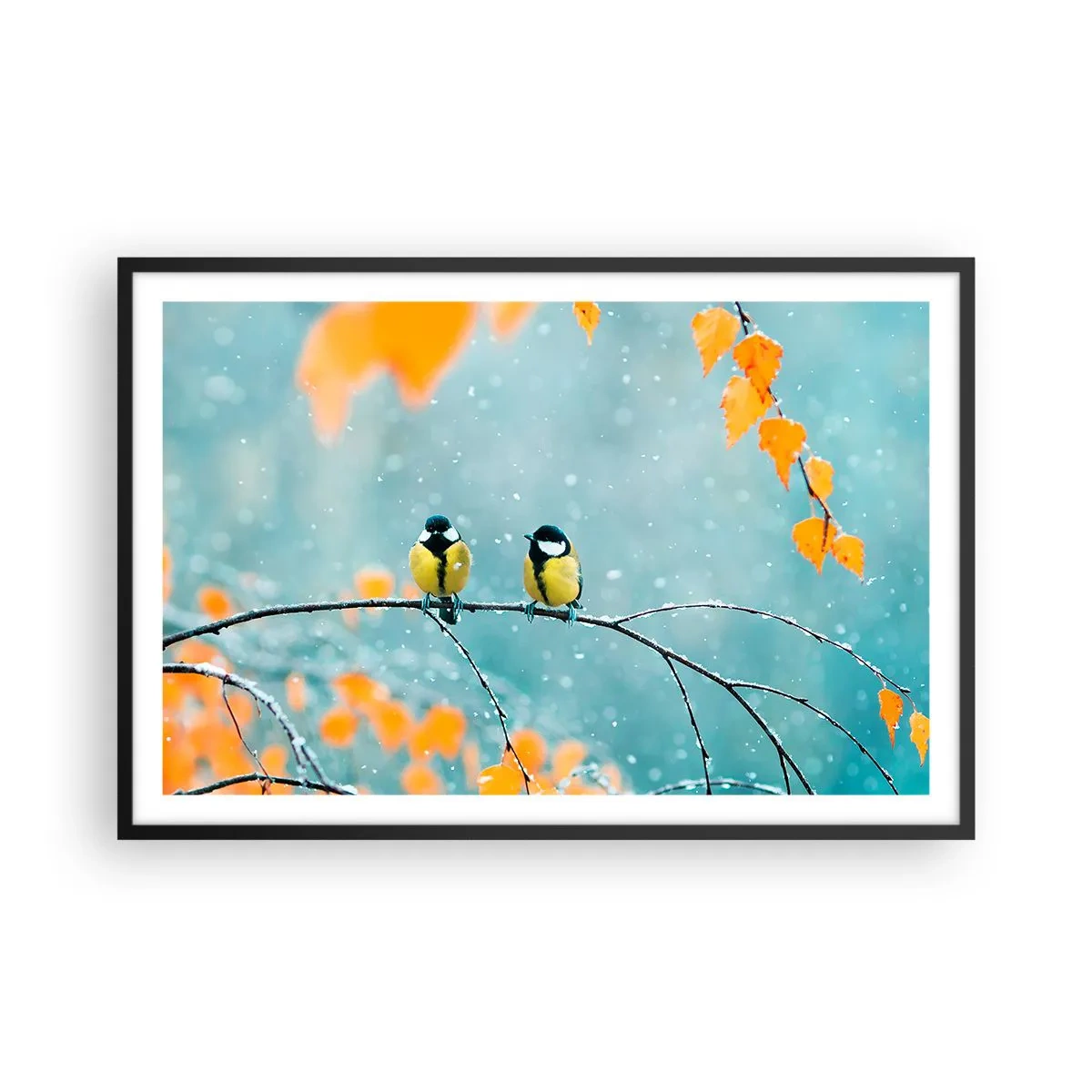 Póster en marco negro - Cotilleo de pájaros - 91x61 cm