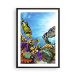 Póster en marco negro - Vida marina colorida con peces y tortugas en aguas tropicales. - 50x70cm - Paseo del coral - Decoración de pared moderna para salón y dormitorio ARTTOR