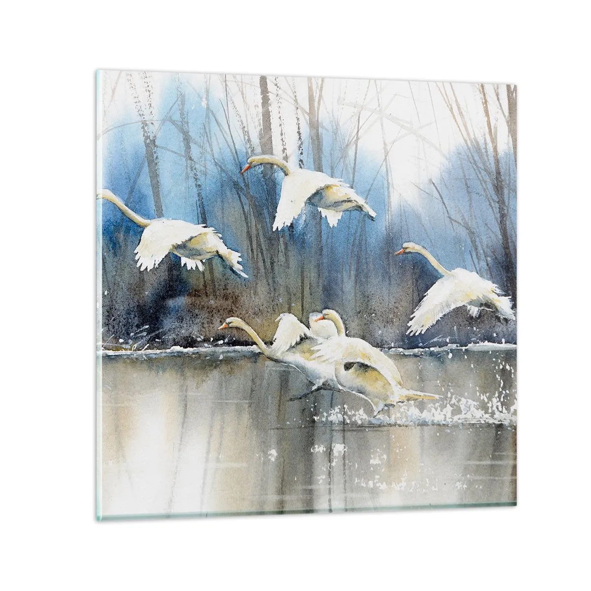 Cuadro sobre vidrio - Impresiones sobre Vidrio - Como en un cuento de cisnes salvajes - 30x30 cm
