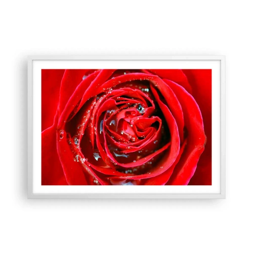 Póster en marco blanco - En gotas de rocío - 70x50 cm