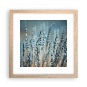 Póster en marco roble claro - Fragante pasto - 30x30 cm