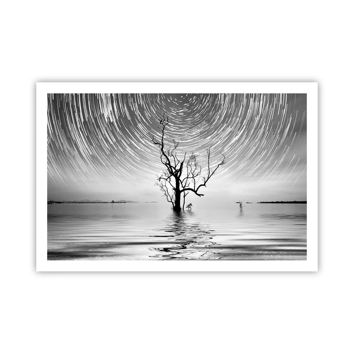 Póster - Una sinfonía de la naturaleza - 91x61 cm