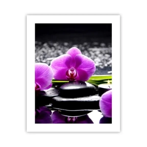 Póster - Ahogarse en la paz y la tranquilidad - 40x50 cm