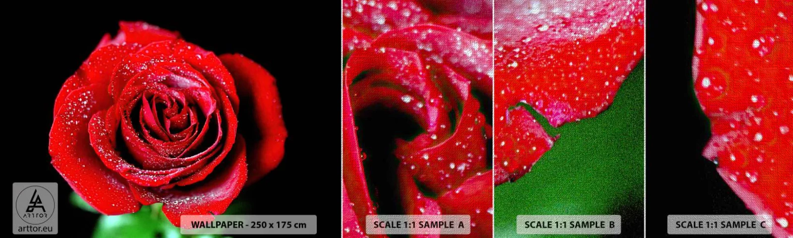 Muestra de fotomural Premium Canvas - Eso es el amor - flores, Rosa roja, Pétalos de rosa - 100x30 cm