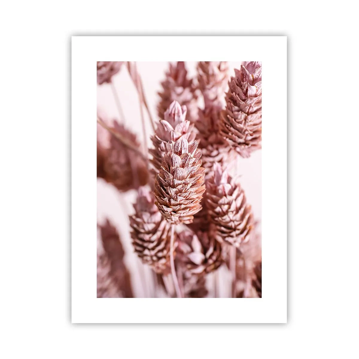 Póster - Aparentemente discreto - 30x40 cm