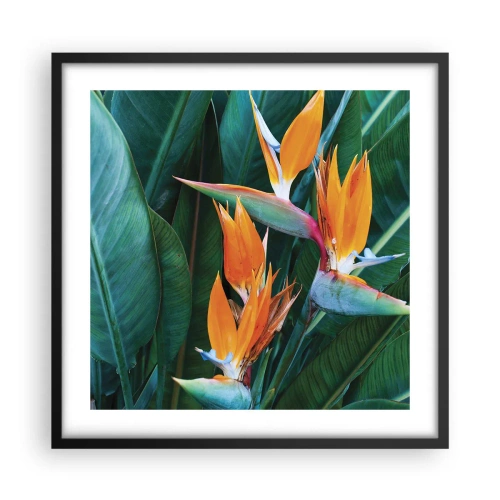 Póster en marco negro - ¿Es una flor o es un pájaro? - 50x50 cm