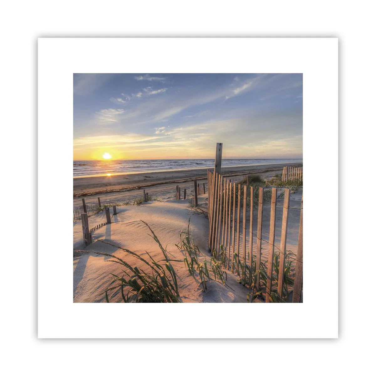 Póster - El resplandor y la sombra del viento - 30x30 cm