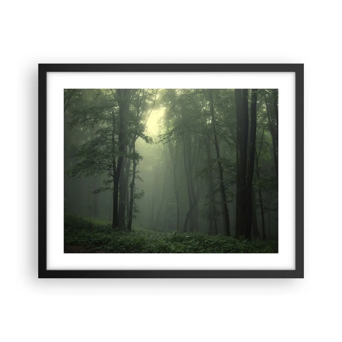 Póster en marco negro - Antes de que se despierte el bosque - 50x40 cm