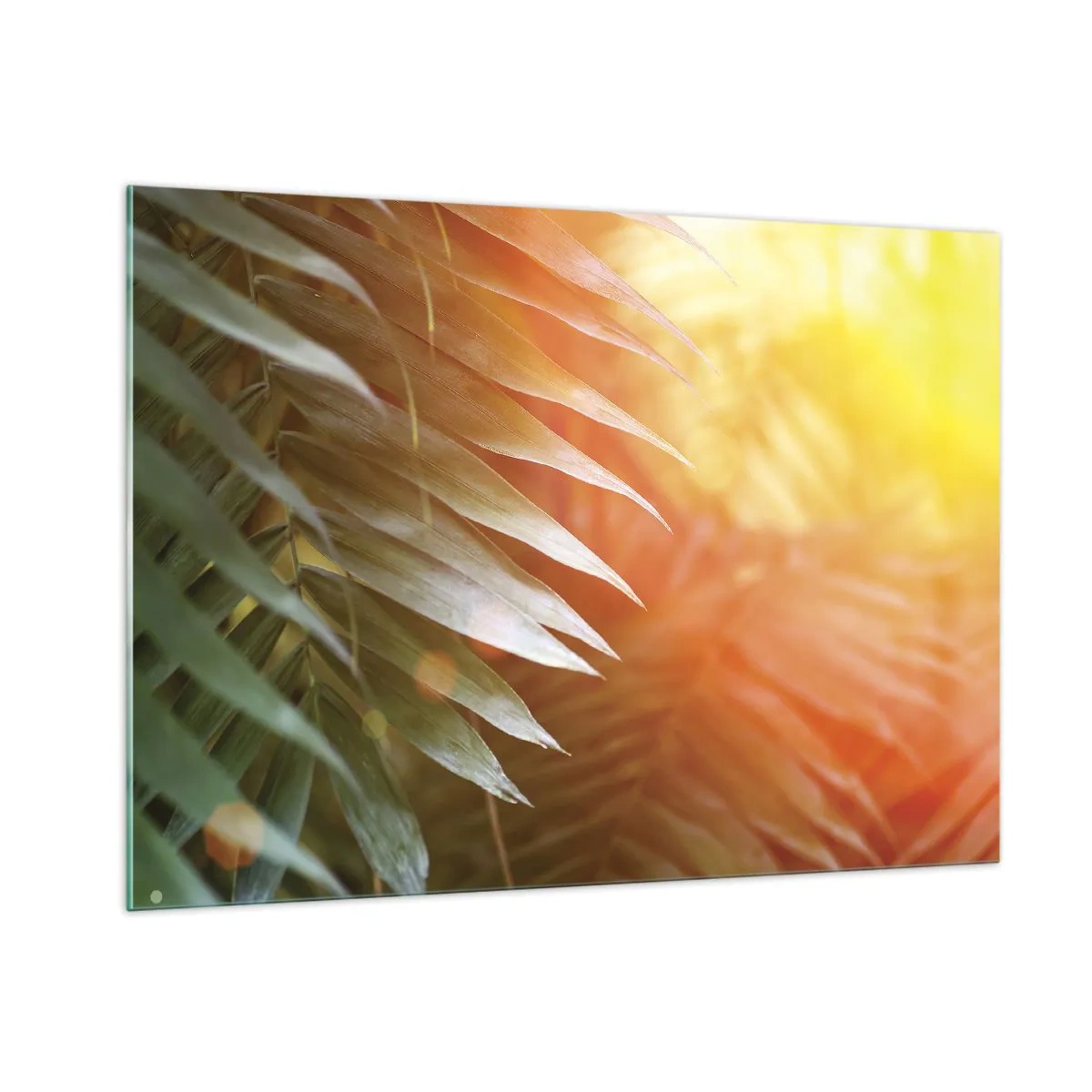 Cuadro sobre vidrio - Impresiones sobre Vidrio - Hojas de palmera bajo el resplandor del sol de la mañana en un entorno tropical. - 100x70cm - Mañana en la selva - Decoración de pared moderna para salón y dormitorio ARTTOR