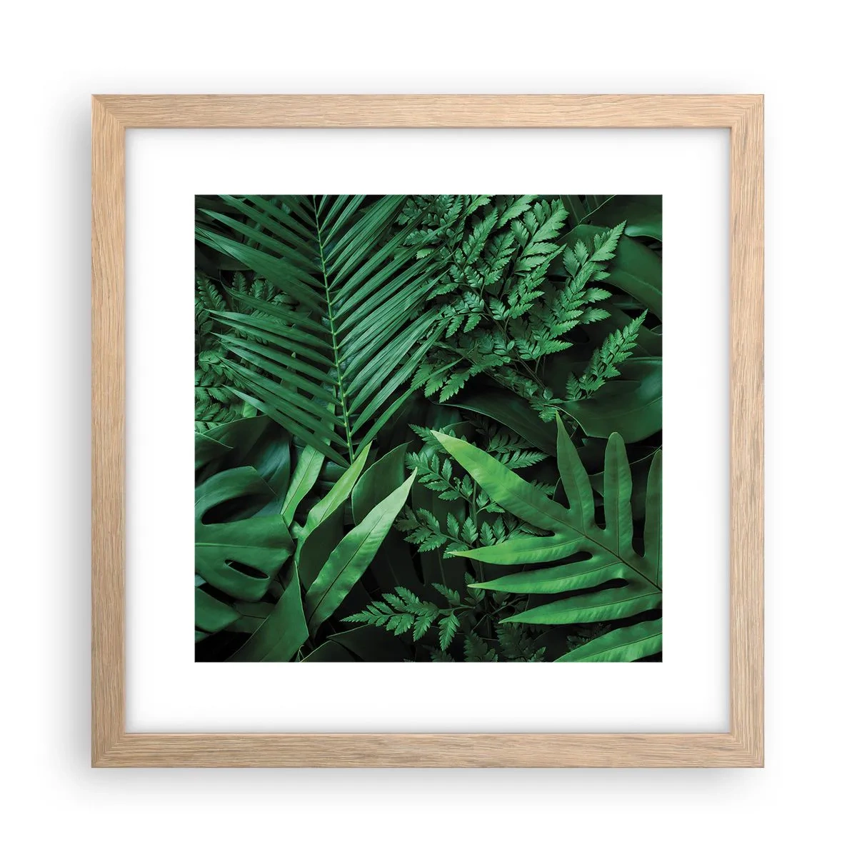 Póster en marco roble claro - Abrazo verde - 30x30 cm