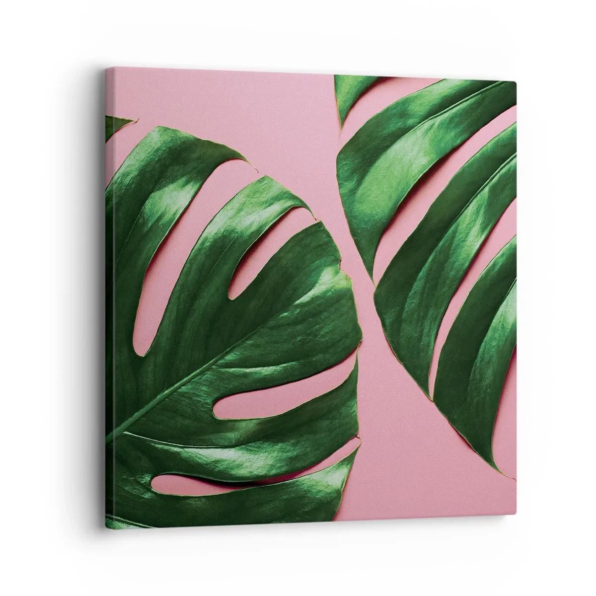 Cuadro sobre lienzo - Impresión de Imagen - Cita con el verde - 30x30 cm