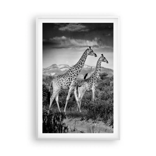 Póster en marco blanco - La clase alta de África - 61x91 cm