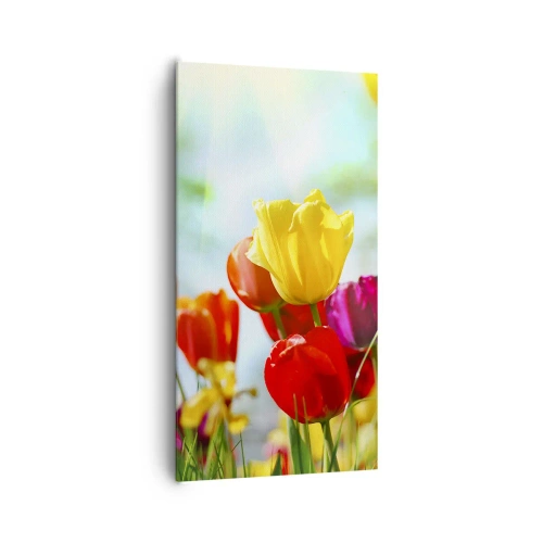 Cuadro sobre lienzo - Impresión de Imagen - Todos los tonos del sol - 65x120 cm