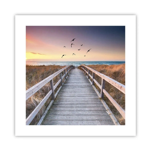 Póster - Camino a lo desconocido - 40x40 cm