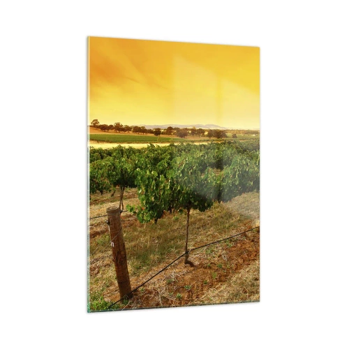 Cuadro sobre vidrio - Impresiones sobre Vidrio - Vides bajo la cálida luz del sol poniente - 50x70cm - Un trago del sol - Decoración de pared moderna para salón y dormitorio ARTTOR