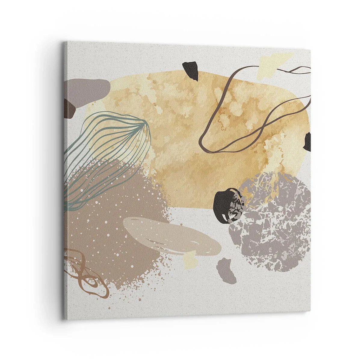 Cuadro sobre lienzo - Impresión de Imagen - Plumología aplicada - 60x60 cm