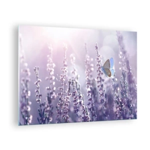 Cuadro sobre vidrio - Impresiones sobre Vidrio - Una mariposa en un campo de lavanda bajo el sol. - 70x50cm - El beso de una mariposa - Decoración de pared moderna para salón y dormitorio ARTTOR