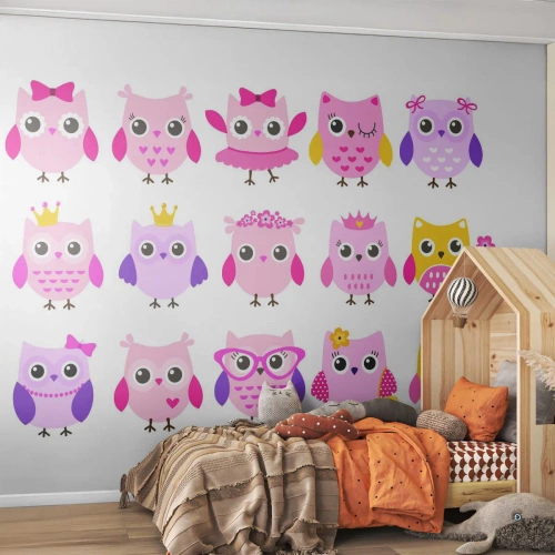 Fotomural Premium Canvas - Uno más dulce que el otro - Aves, Búho, Para niños - 350x256 cm